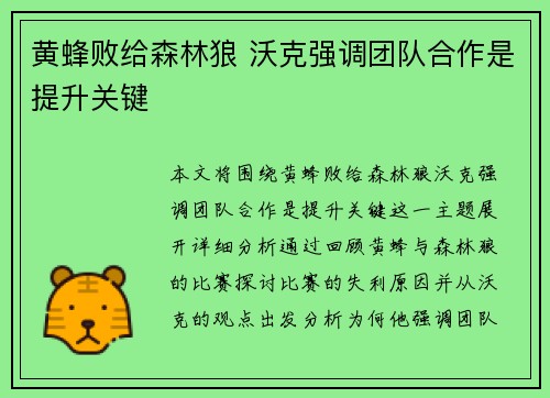 黄蜂败给森林狼 沃克强调团队合作是提升关键