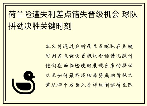 荷兰险遭失利差点错失晋级机会 球队拼劲决胜关键时刻
