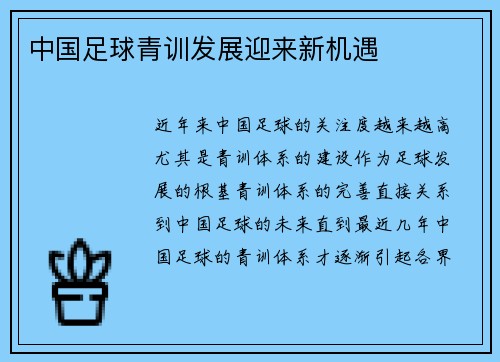 中国足球青训发展迎来新机遇