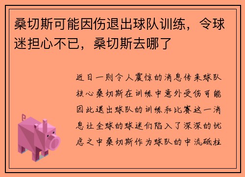 桑切斯可能因伤退出球队训练，令球迷担心不已，桑切斯去哪了