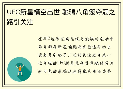 UFC新星横空出世 驰骋八角笼夺冠之路引关注